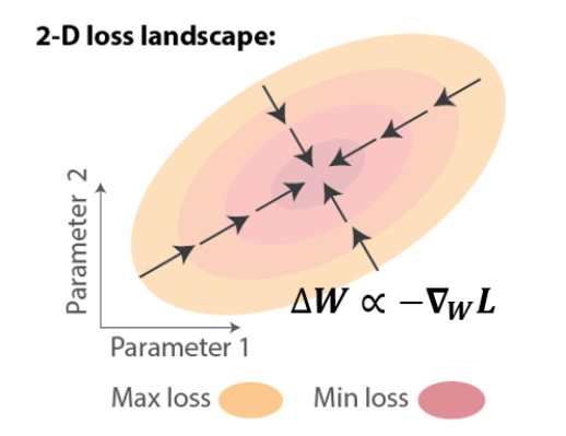2-D loss landscape
