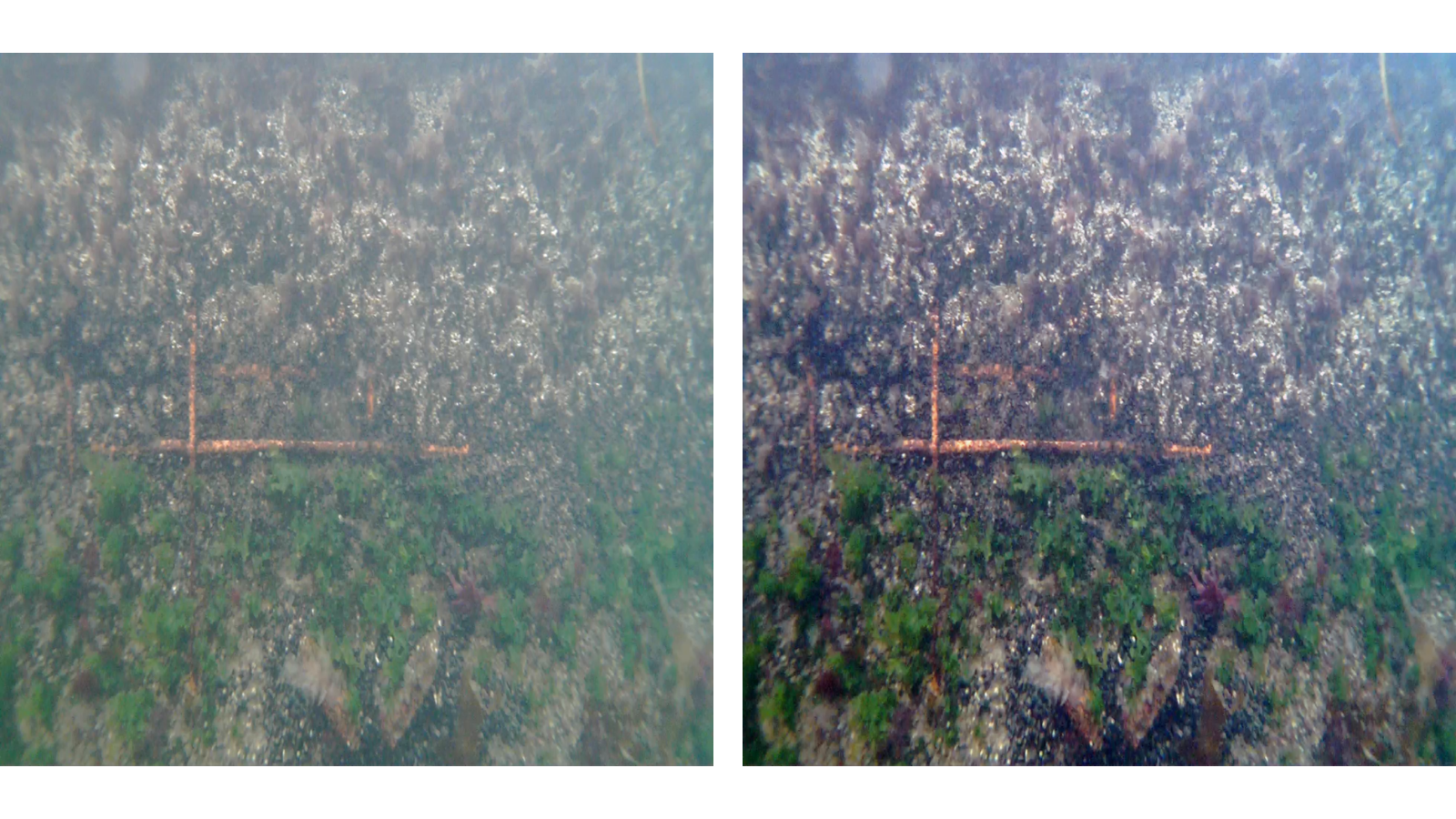 AI Underwater Image Correction