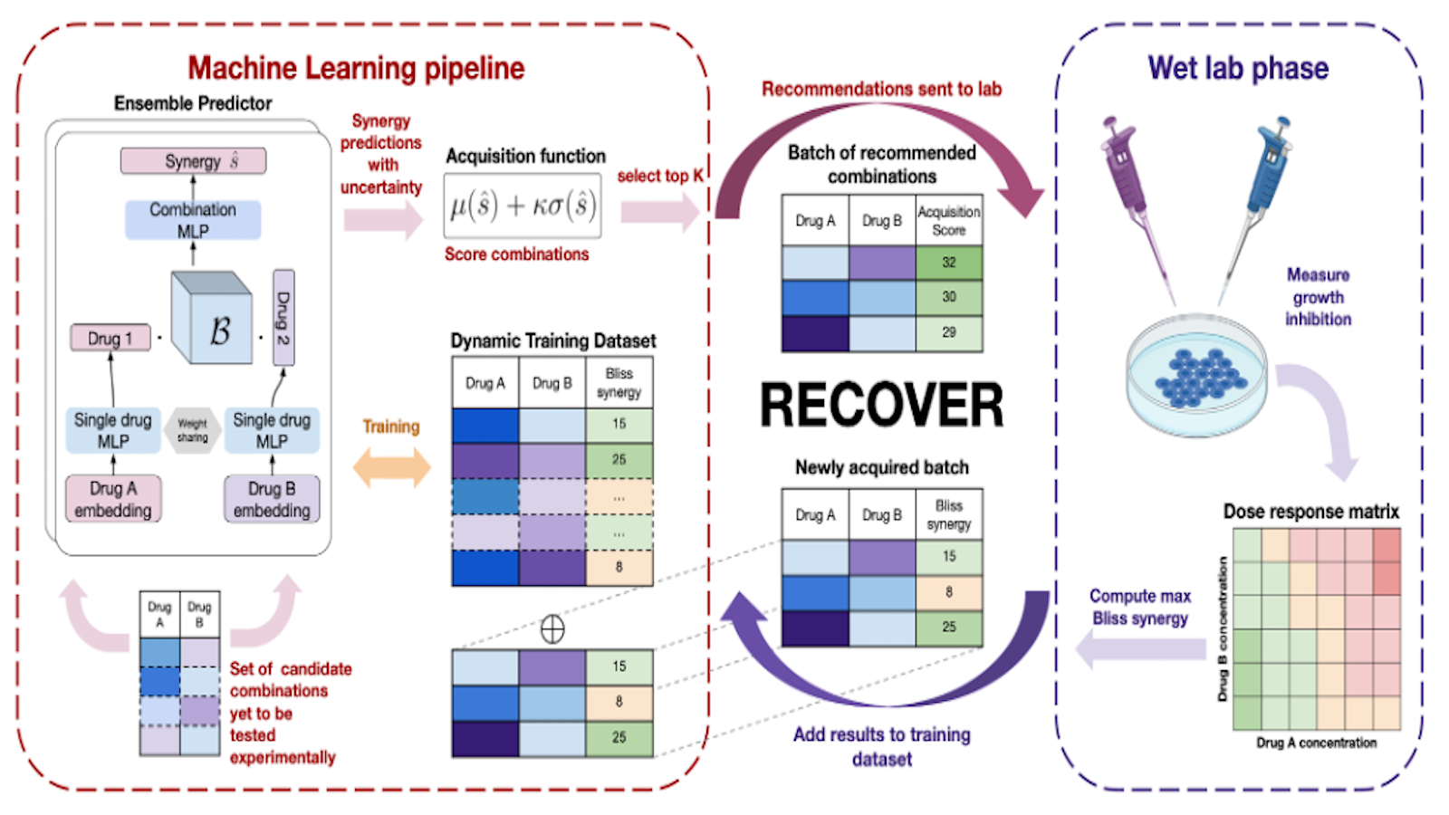 Figure 1. Vue d’ensemble de l’approche RECOVER qui fait itérativement appel à un nouveau pipeline d’apprentissage automatique et à une phase d’évaluation en laboratoire