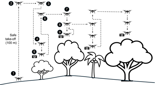 figure of how drone capture pictures of trees