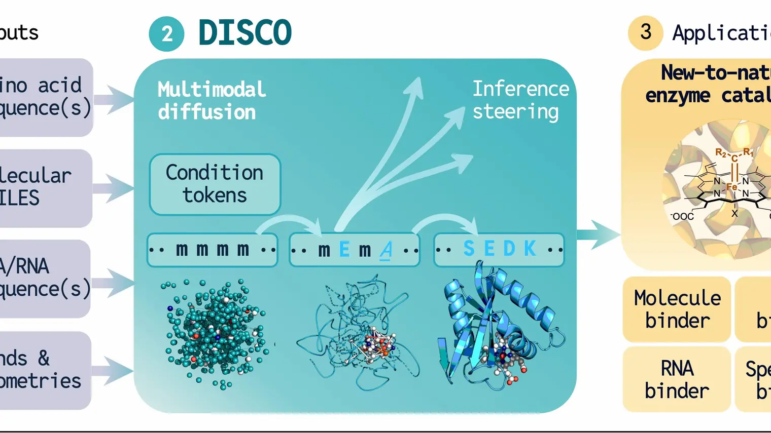 DISCO: Inventing Enzymes Nature Never Explored