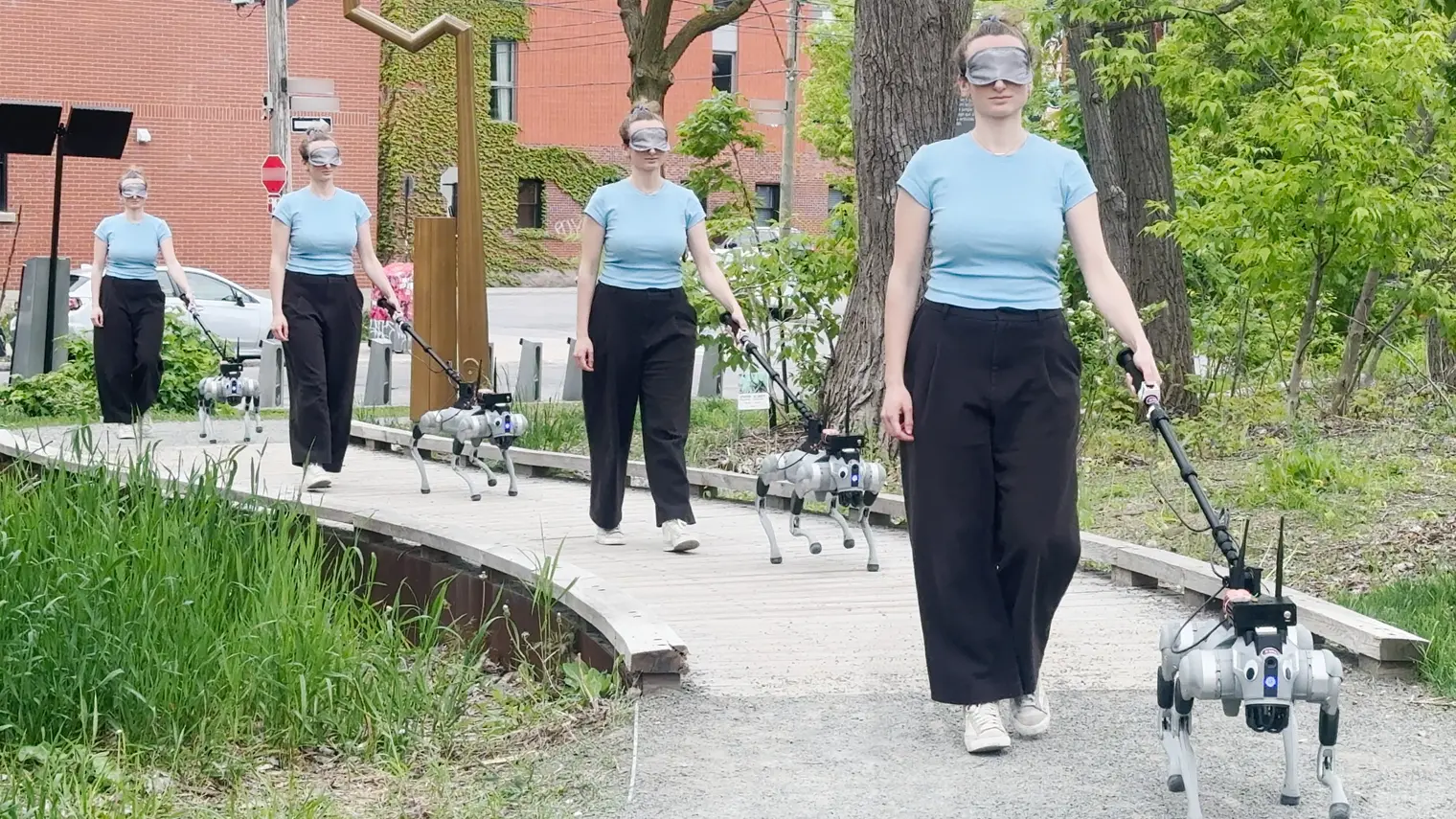 A women walking a robot dog outside