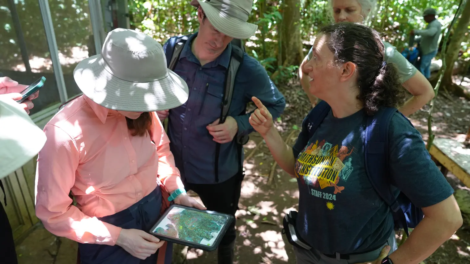 L'équipe du projet Kanopia examinant une carte au cœur de la forêt