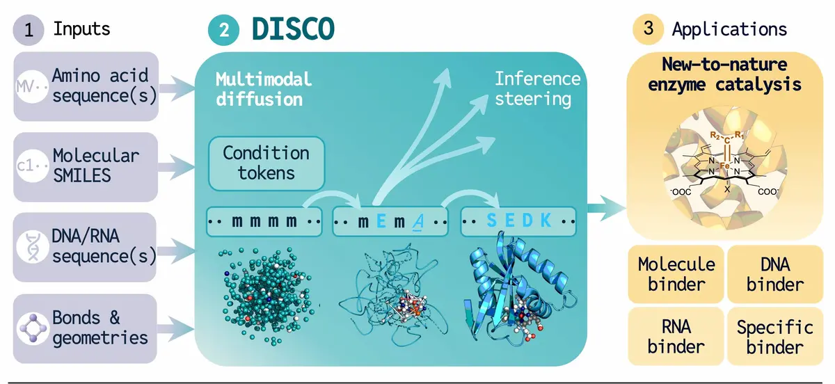 DISCO: Inventing Enzymes Nature Never Explored