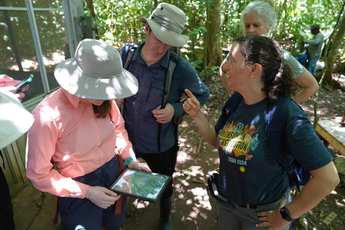 the team of project Kanopia looking at a map in the middle of the forest