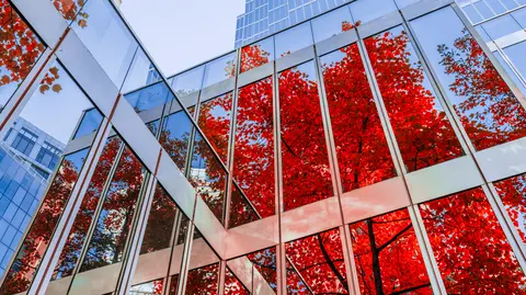 Red autumn trees reflected in a modern glass building.