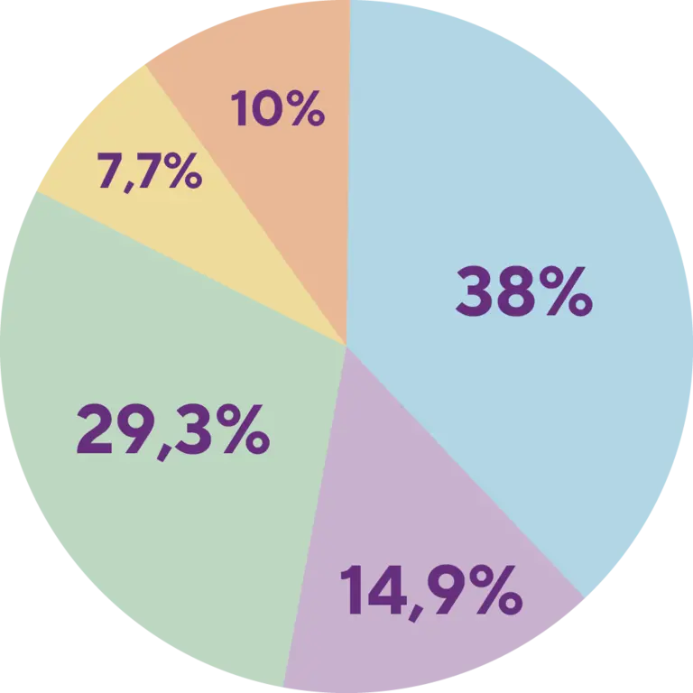 Expenses chart