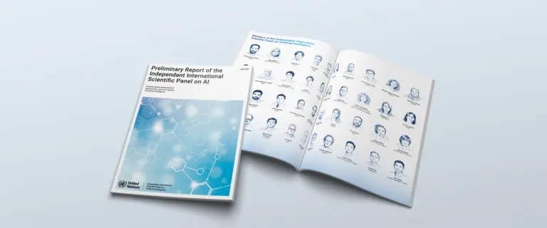 a mockup of the Preliminary Report