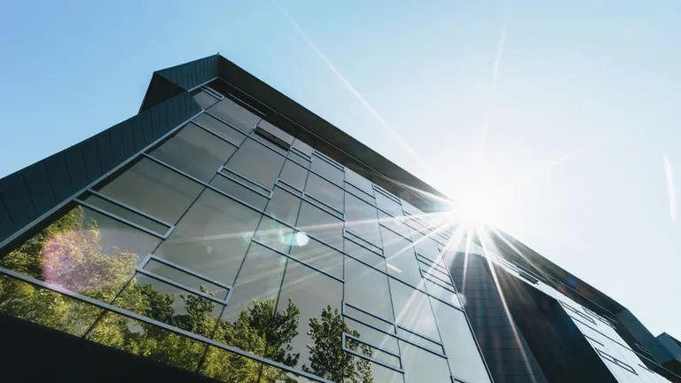 Sunlight and tree shadows on the facade of a glass building. 