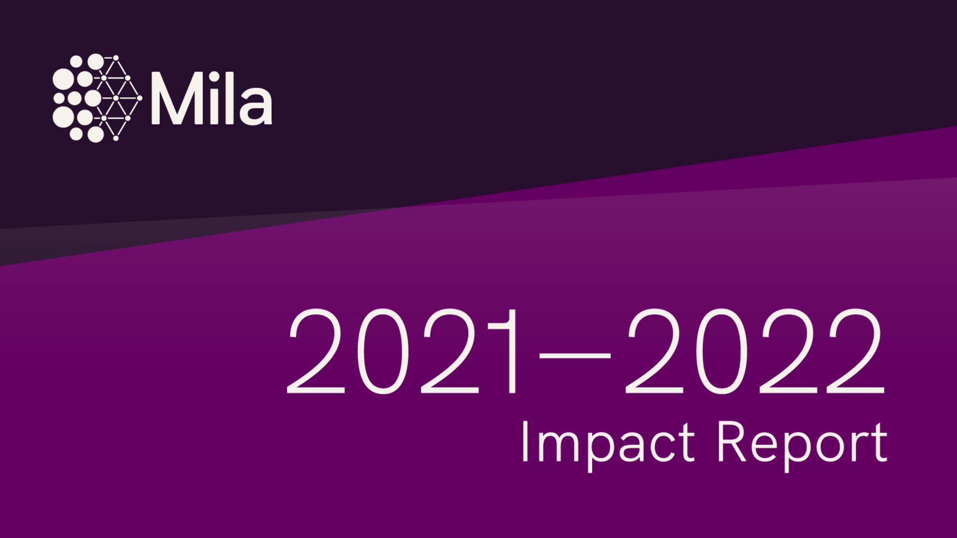 Thumbnail of the 2021-2022 impact report. 