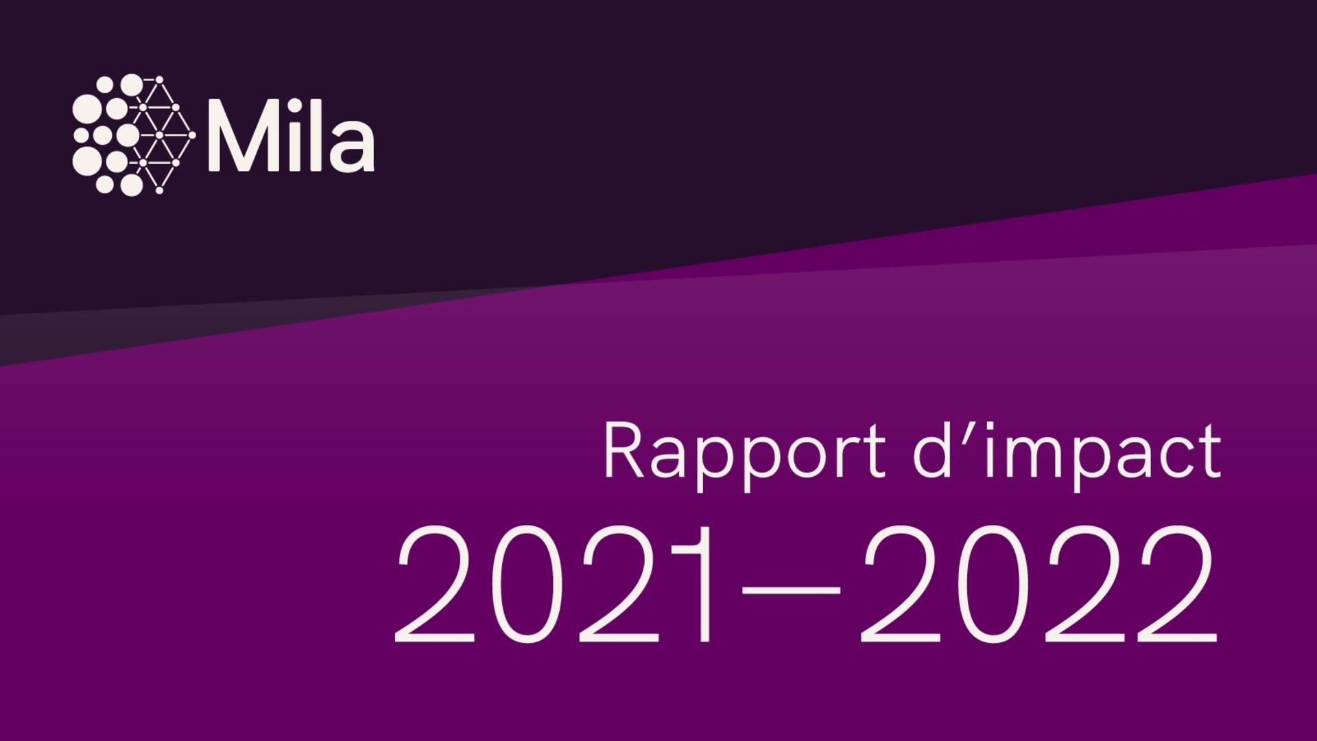 Vignette du rapport d'impact 2021-2022.
