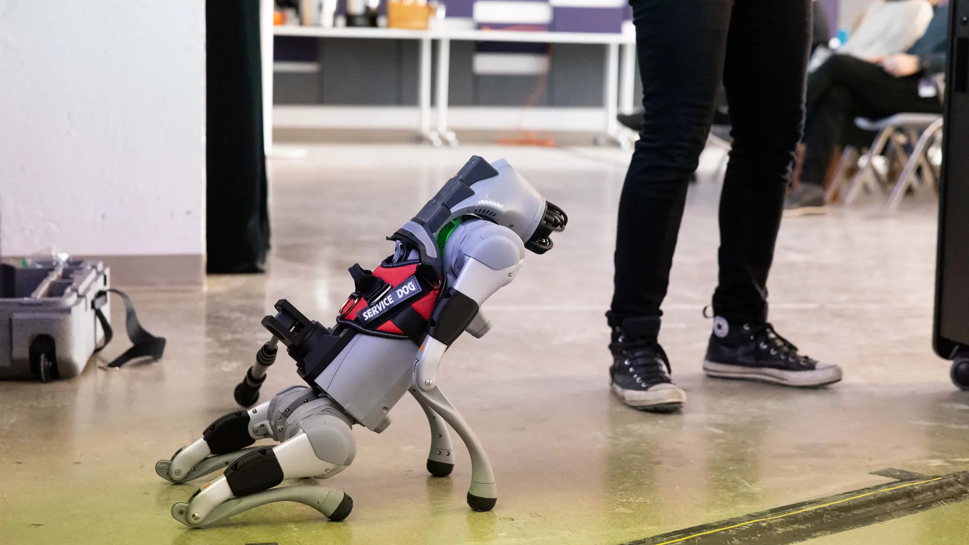 Photo d'un chien robot assis