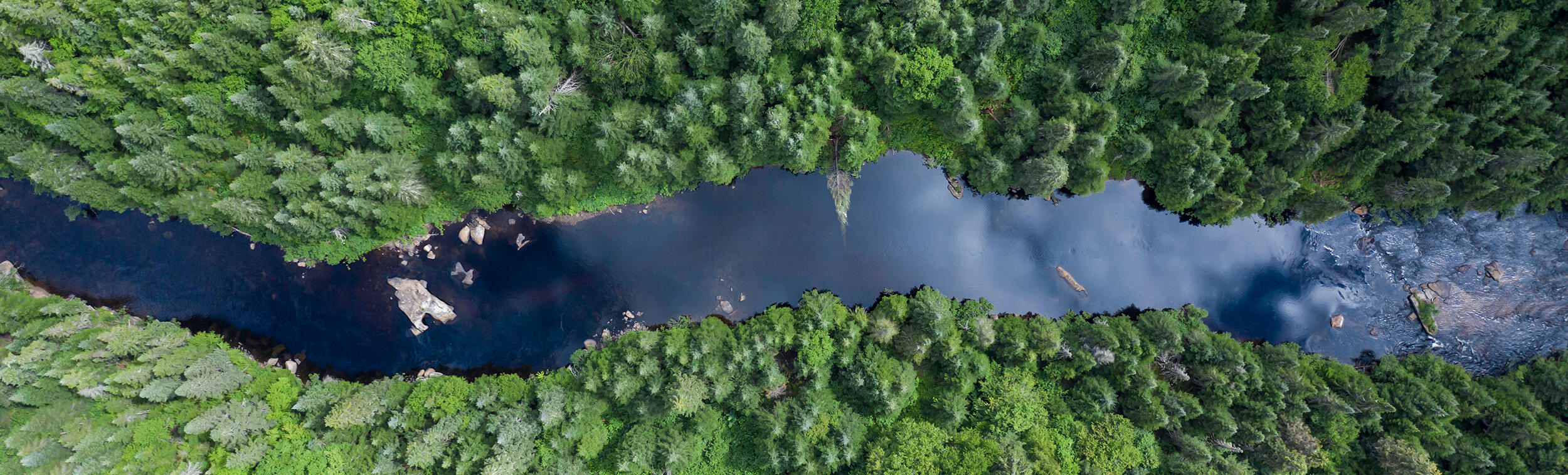 Vue aérienne d'une forêt boréale et d'une rivière en été.