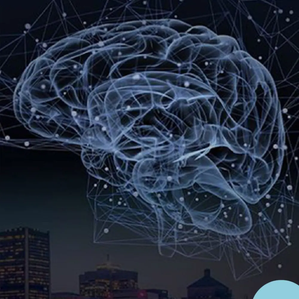 Visual identity of Mila Techaide