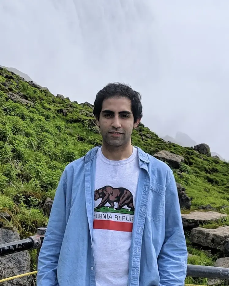 Portrait of Mohamad H. Danesh