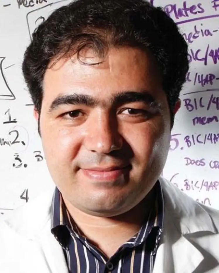 Portrait de Majid Mohajerani