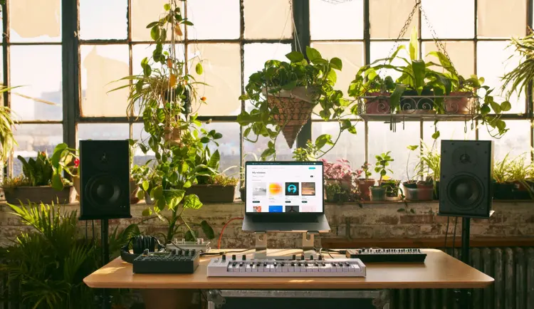 Une installation de production musicale sur un bureau en bois comprenant un ordinateur portable, un clavier MIDI et des moniteurs de studio, placée devant une grande fenêtre ornée de nombreuses plantes vertes luxuriantes.