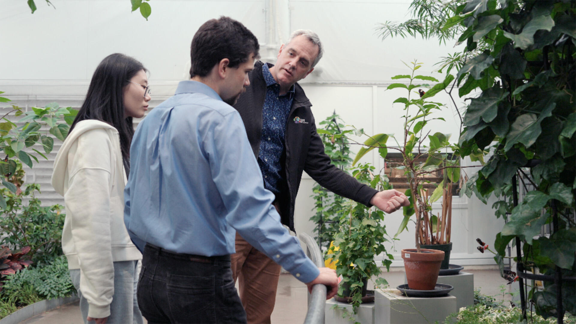 Trois personnes discutent et examinent des plantes.